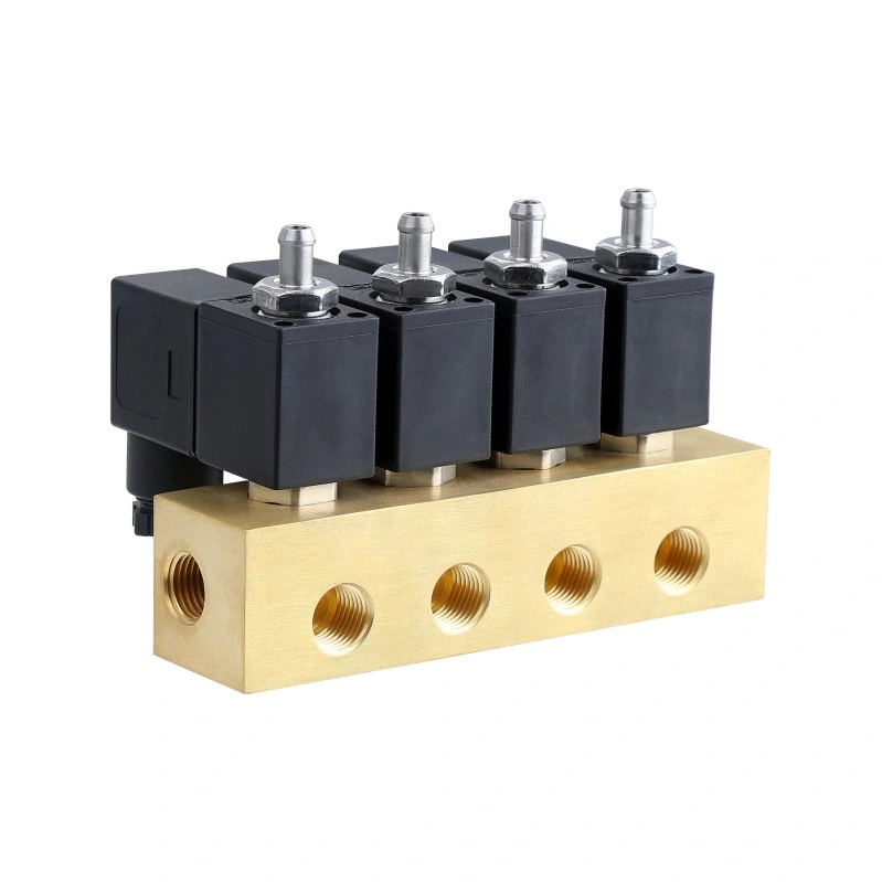 Manifold Type Series 2/2-Way Direct Acting Water Air Brass Solenoid Valve (SLE)